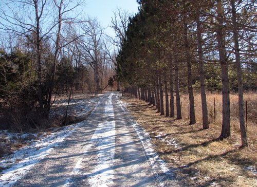 Property photo 24 - 97.5 Acres - Executive Home and Secluded Retreat
